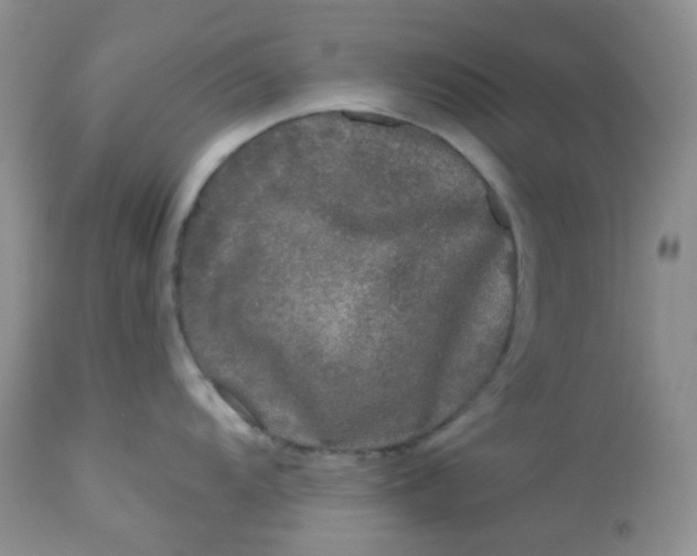 X0000113581104200910091456