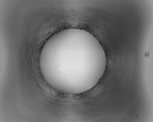 X0000113581105200910091455