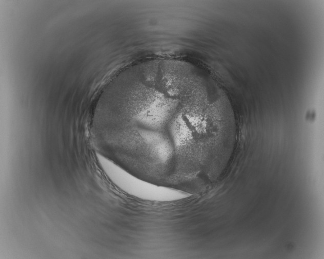 X0000113581106200910091455