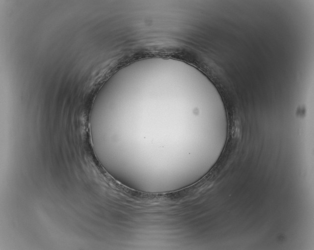 X0000113581108200910091455