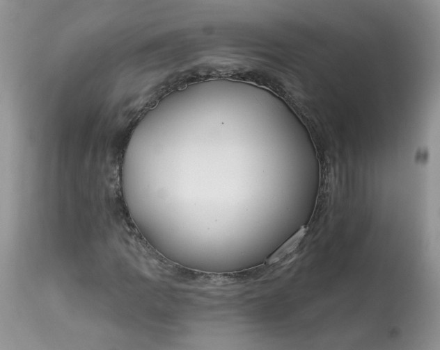 X0000113581109200910091455