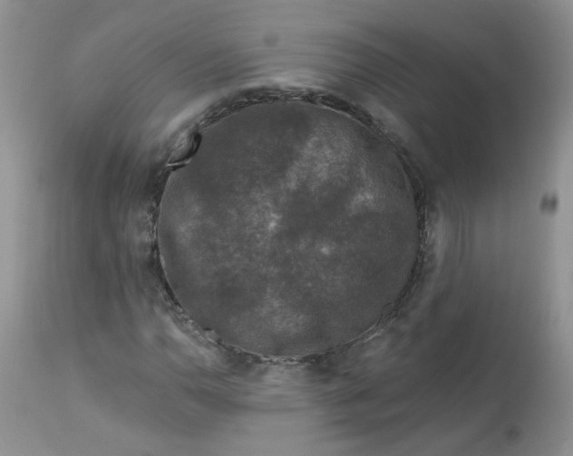 X0000113581110200910091455