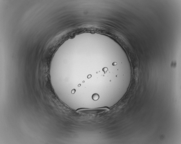 X0000113581111200910091455