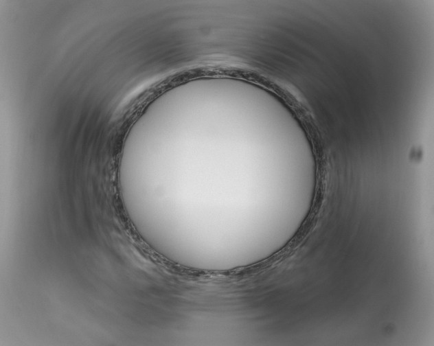 X0000113581112200910091455