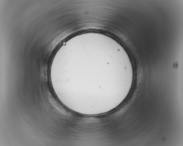 X0000113581113200910091455