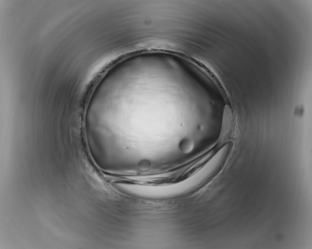 X0000113581115200910091455