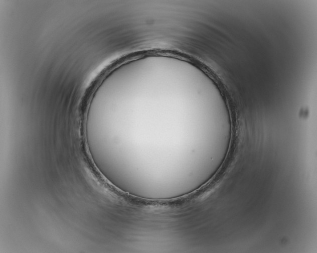 X0000113581118200910091456