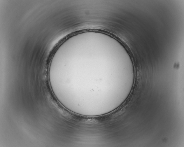 X0000113581119200910091456