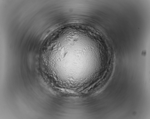 X0000113581121200910091456