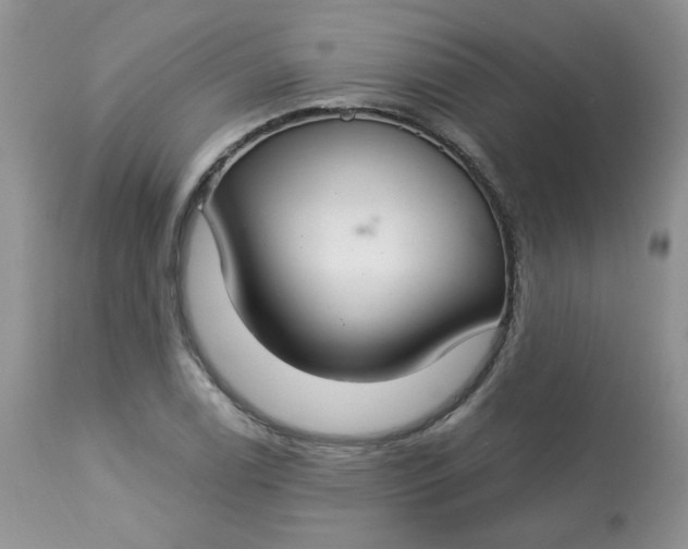 X0000113581122200910091456