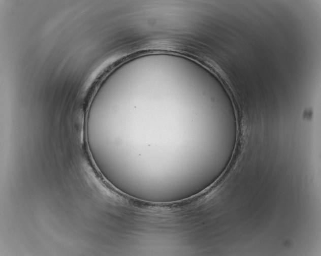 X0000113581123200910091456