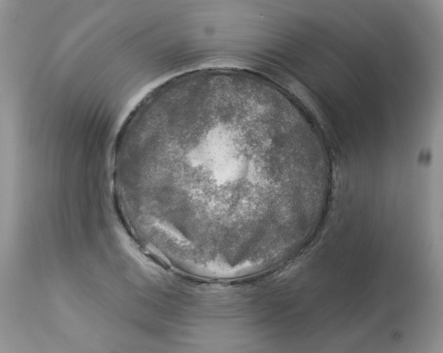 X0000113581124200910091456