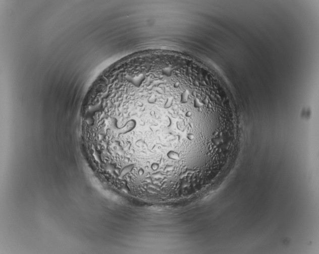 X0000113581125200910091456