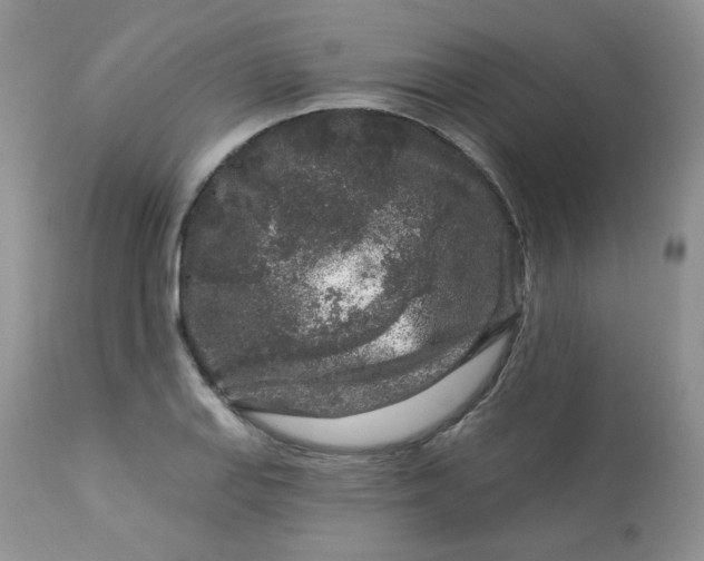 X0000113581127200910091456