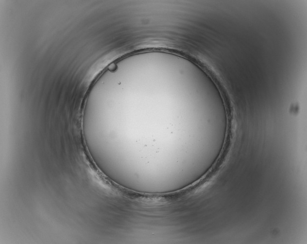 X0000113581129200910091456