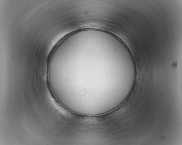 X0000113581131200910091456