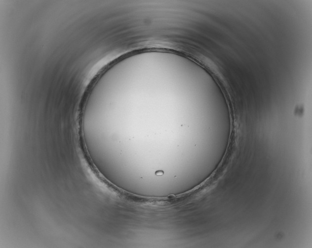 X0000113581133200910091456