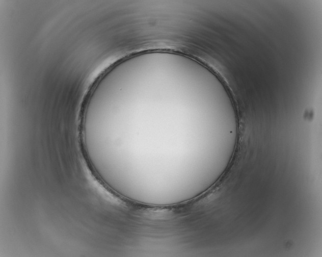 X0000113581135200910091456