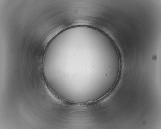 X0000113581137200910091456