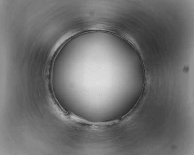 X0000113581138200910091456