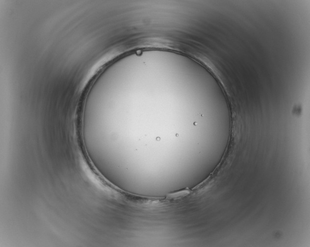 X0000113581139200910091456