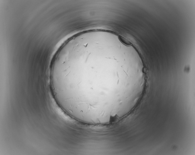 X0000113581140200910091456