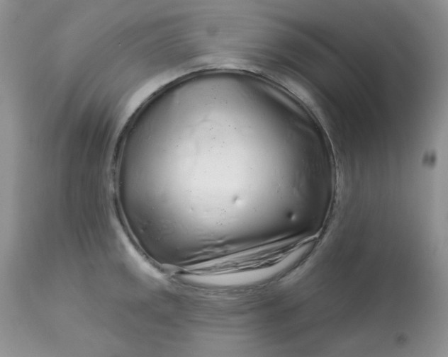 X0000113581141200910091456