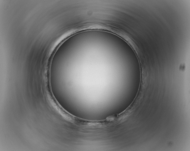 X0000113581142200910091456