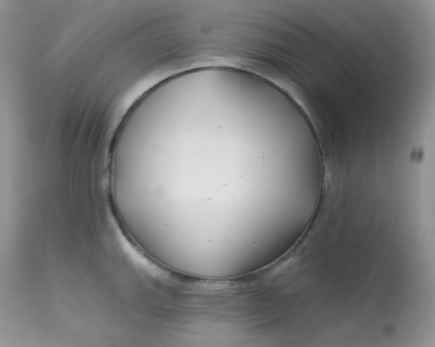 X0000113581143200910091456