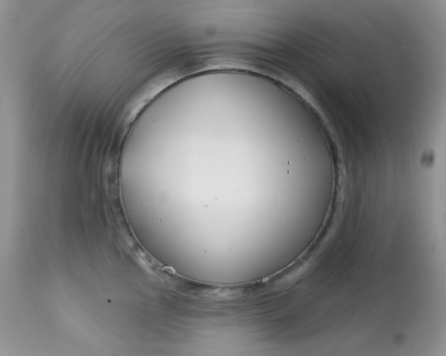 X0000113581145200910091456