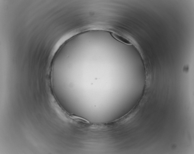 X0000113581146200910091456