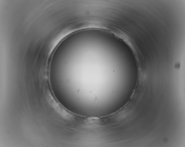 X0000113581148200910091456