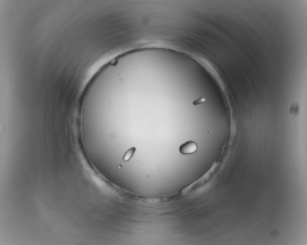 X0000113581149200910091456