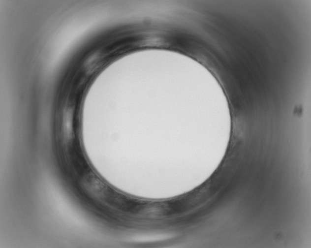 X0000113581150200910091456