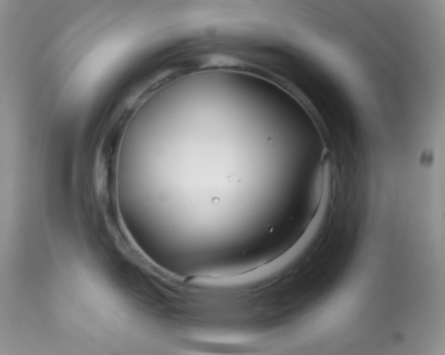 X0000113581151200910091456