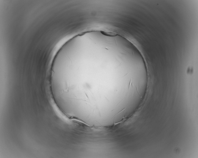 X0000113581152200910091456