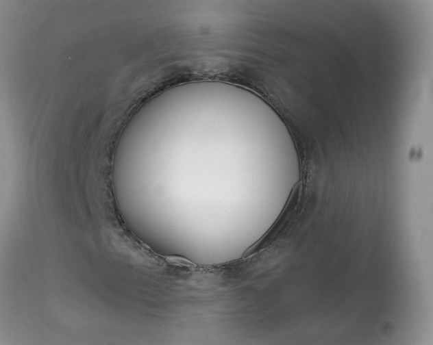 X0000113581153200910091455