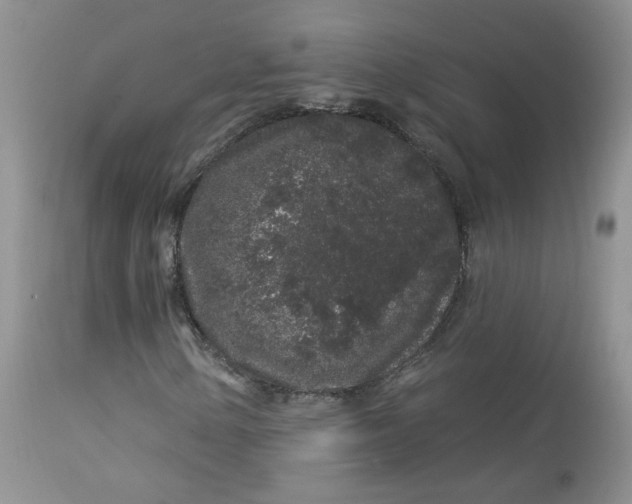 X0000113581154200910091455