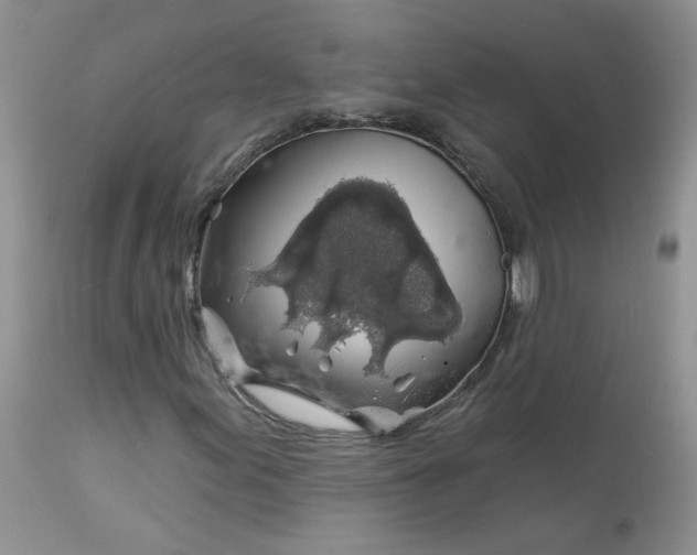 X0000113581155200910091455