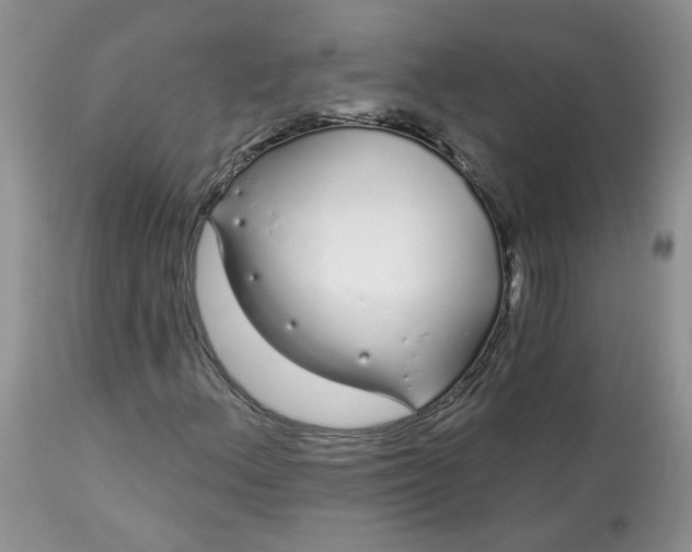 X0000113581156200910091455