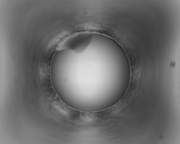 X0000113581157200910091455