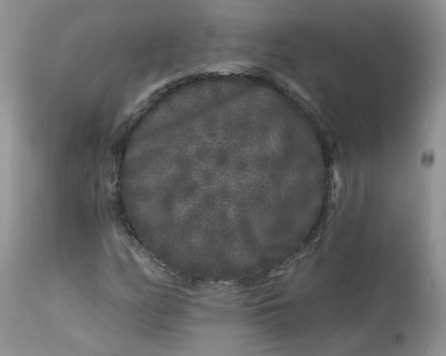 X0000113581158200910091455