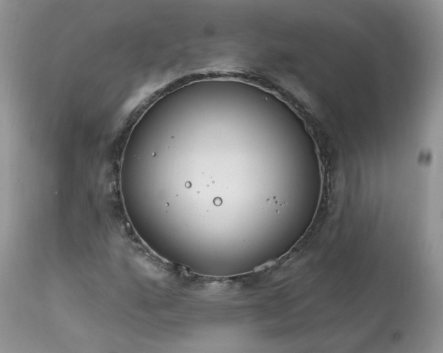 X0000113581160200910091455