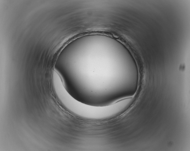 X0000113581161200910091455