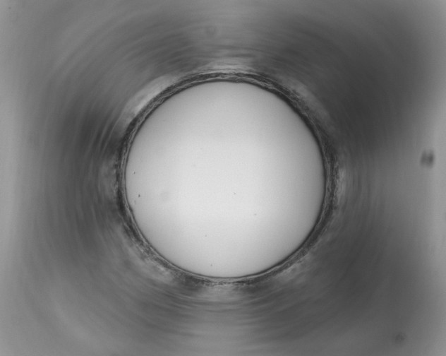 X0000113581162200910091455