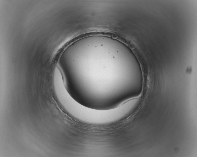 X0000113581165200910091455