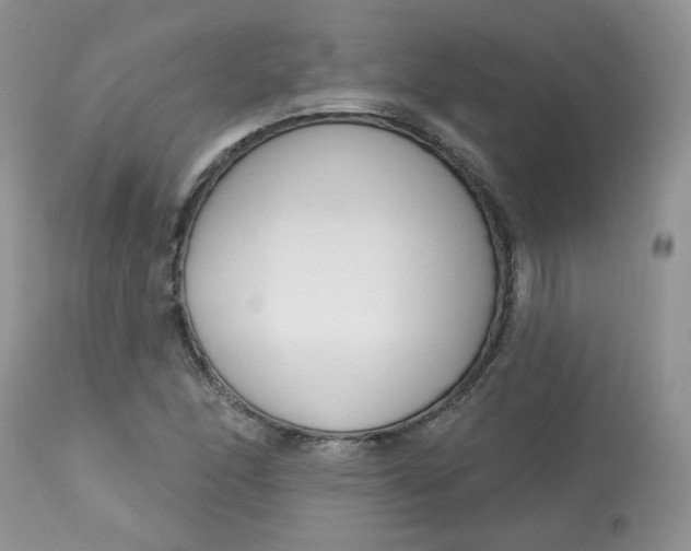 X0000113581166200910091455