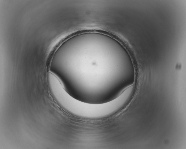 X0000113581167200910091455