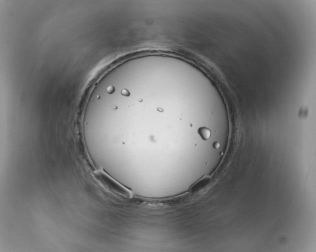 X0000113581168200910091455