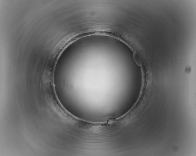 X0000113581169200910091455